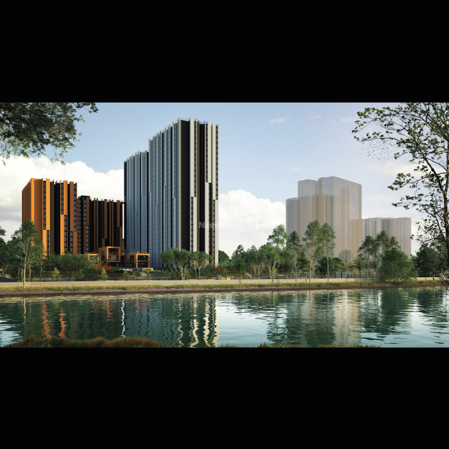 Assetz Canvas and Cove