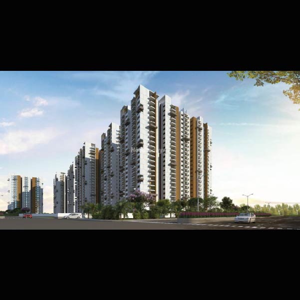 Cloudswood Radhey Skye