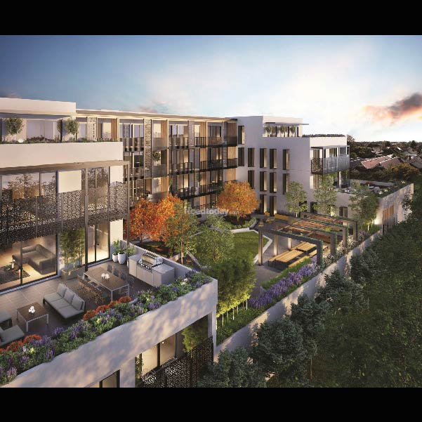 Cloudswood Radhey Skye