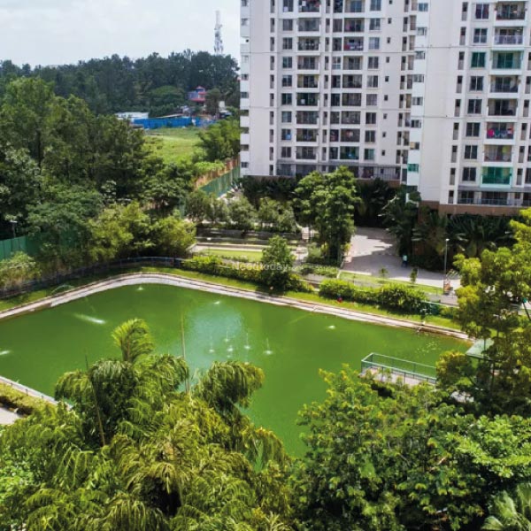 SNN Serenity Gardens