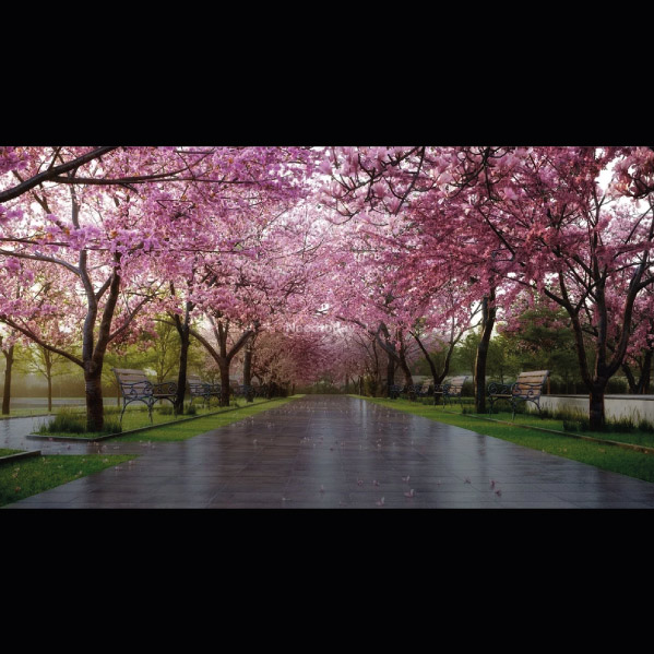 Sobha Manhattan Towers Town Park