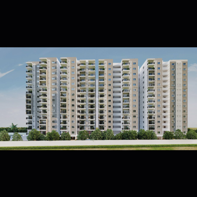 United Sai Green Wood