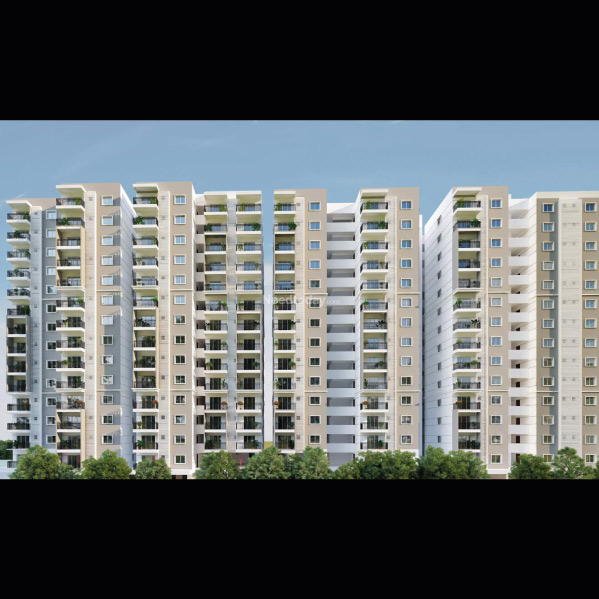 United Sai Green Wood